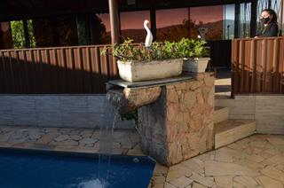 Plantas: imagem 6 de 15